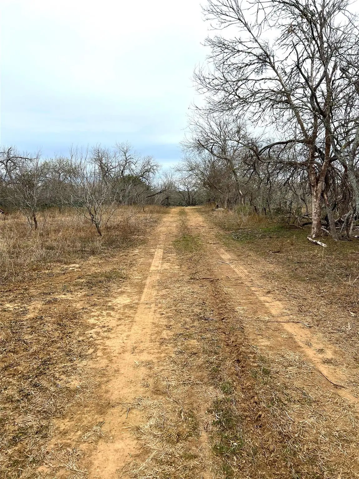 TBD LOT A Watterson Rd, Bastrop, TX 78602 - Image #1