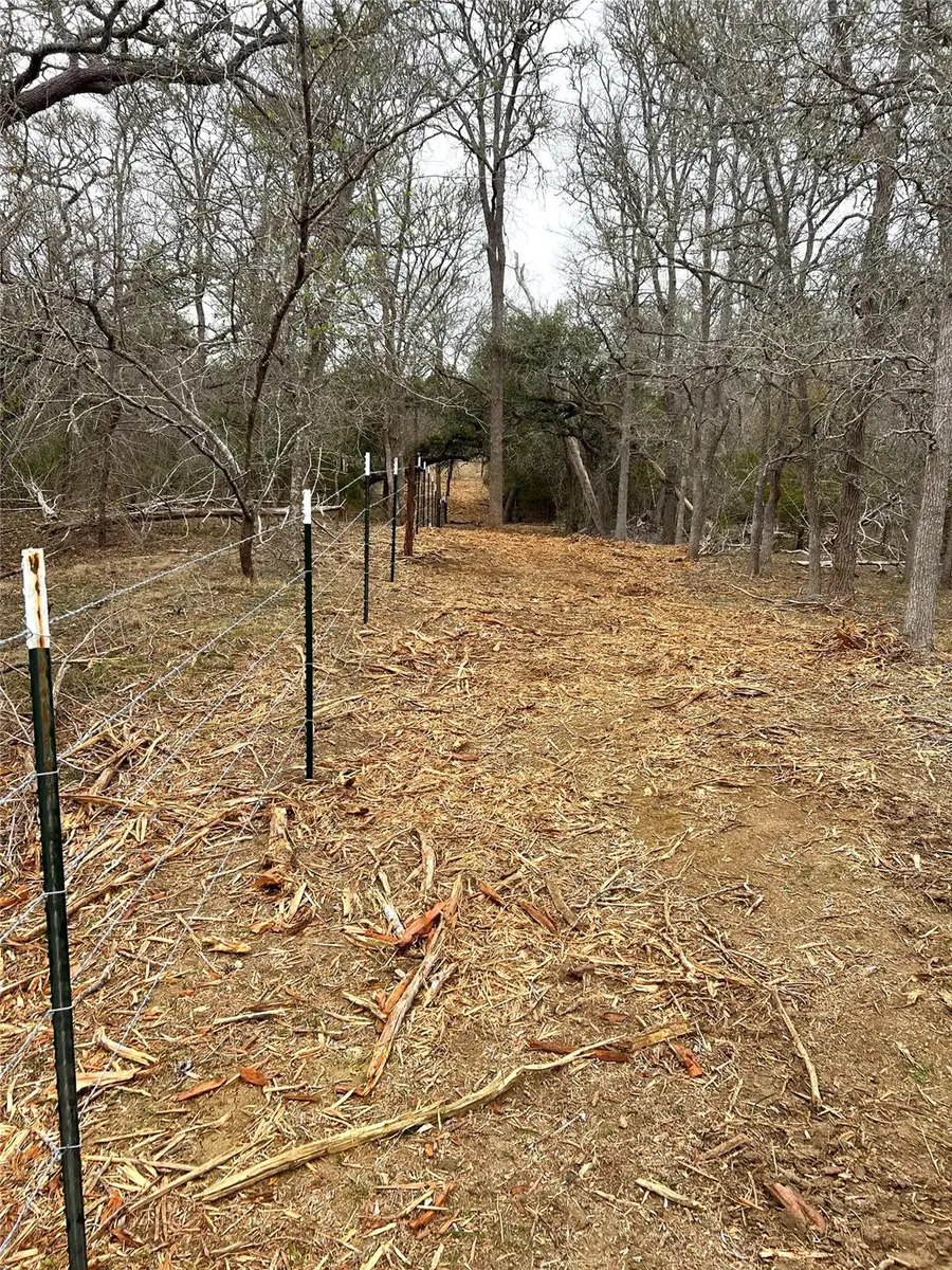 TBD LOT A Watterson Rd, Bastrop, TX 78602 - Image #3