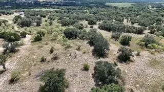178 County Road 199, Mullin, TX 76864 - #2