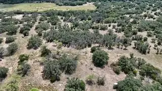178 County Road 199, Mullin, TX 76864 - #3