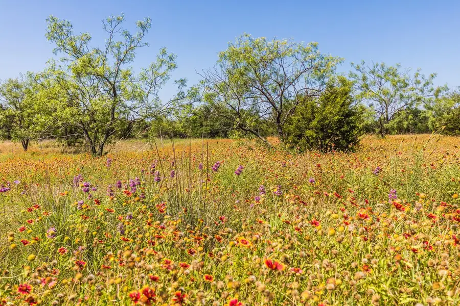 Tract 2 County Road 3300, Kempner, TX 76539 - #2