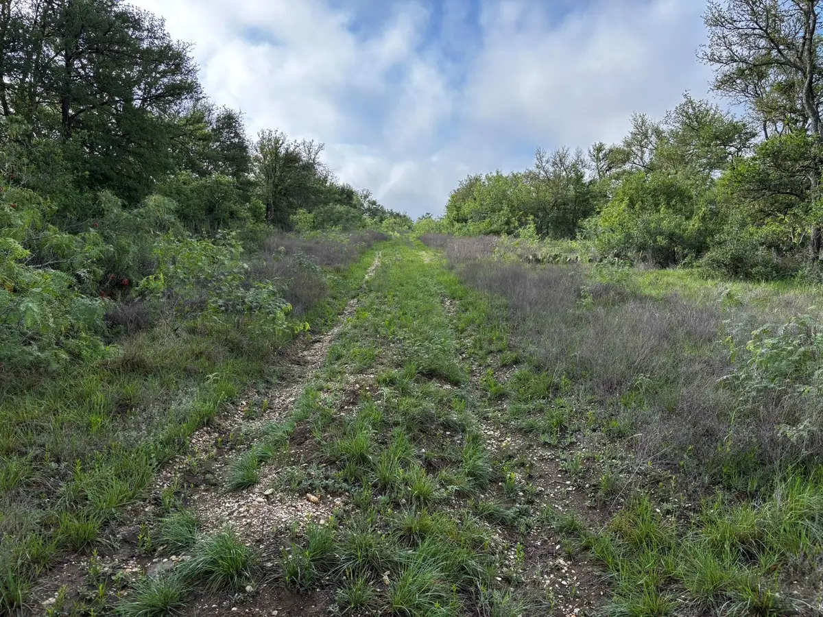 683 County Road 467, Thrall, TX 76578 - #1