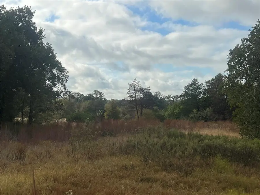Tract 25 Walleye Creek, Lexington, TX 78947 - #2