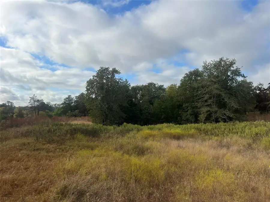 Tract 25 Walleye Creek, Lexington, TX 78947 - #3