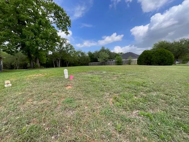 117 Allison Cv, Elgin, TX 78621 - #1