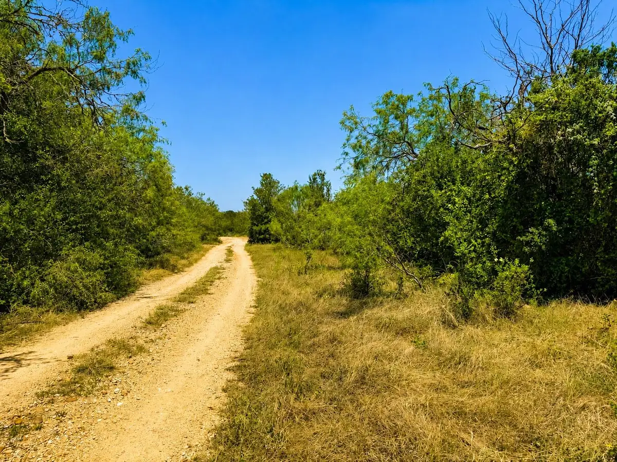 221 Fawn Ridge Rd, Cedar Creek, TX 78612 - #1