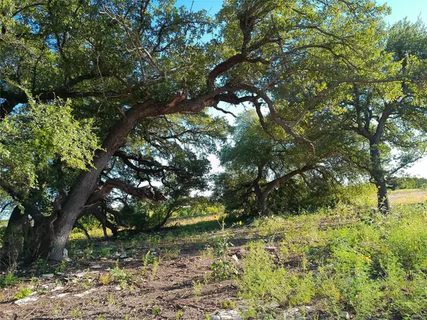 Lot 42 Serenity Dr, Bertram, TX 78605