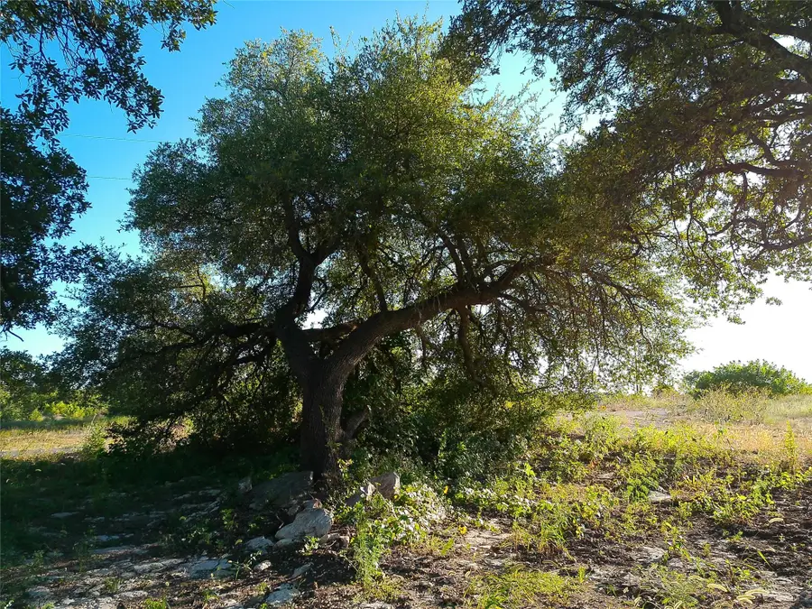 Lot 42 Serenity Dr, Bertram, TX 78605 - #3