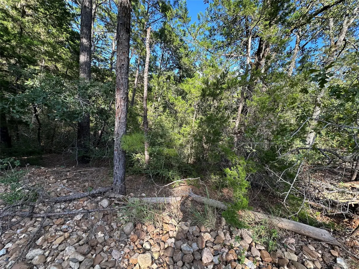 169 Molokini Dr, Bastrop, TX 78602 - #1
