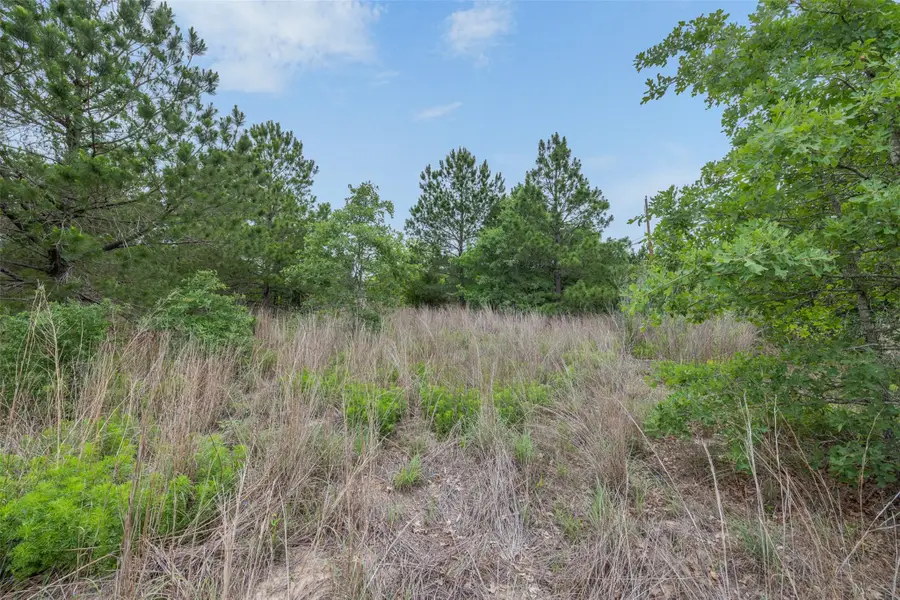 TBD Lot 20c County Rd, Bastrop, TX 78602 - #2