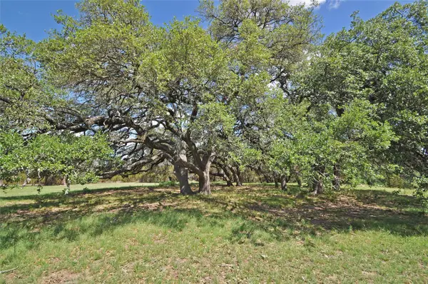 000 County Road 287 (lot 1), Liberty Hill, TX 78642
