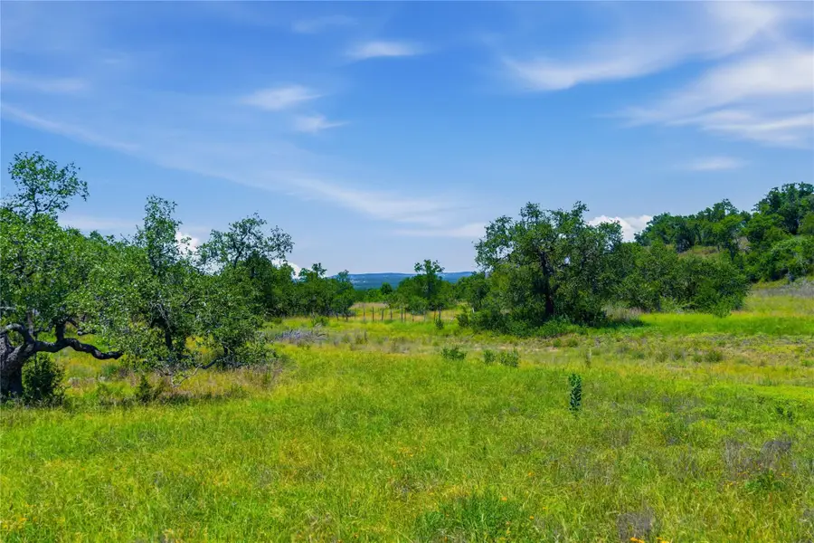 623 Whiskey Trl, Blanco, TX 78606 - #2