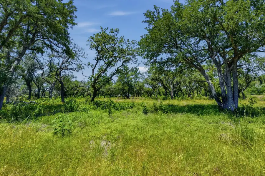 623 Whiskey Trl, Blanco, TX 78606 - #3