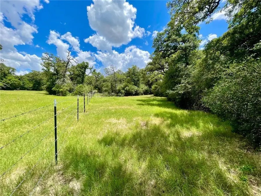 10571 County Road 321, Caldwell, TX 77836 - #3
