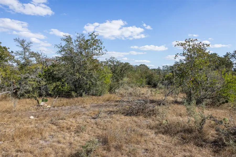 Lot 9 County Road 211, Smiley, TX 78159 - Image #3