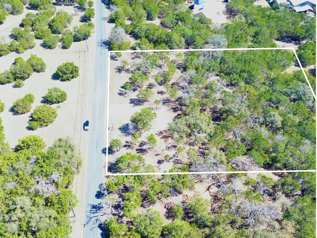 120 Blessing Ranch Rd, Liberty Hill, TX 78642 - #1