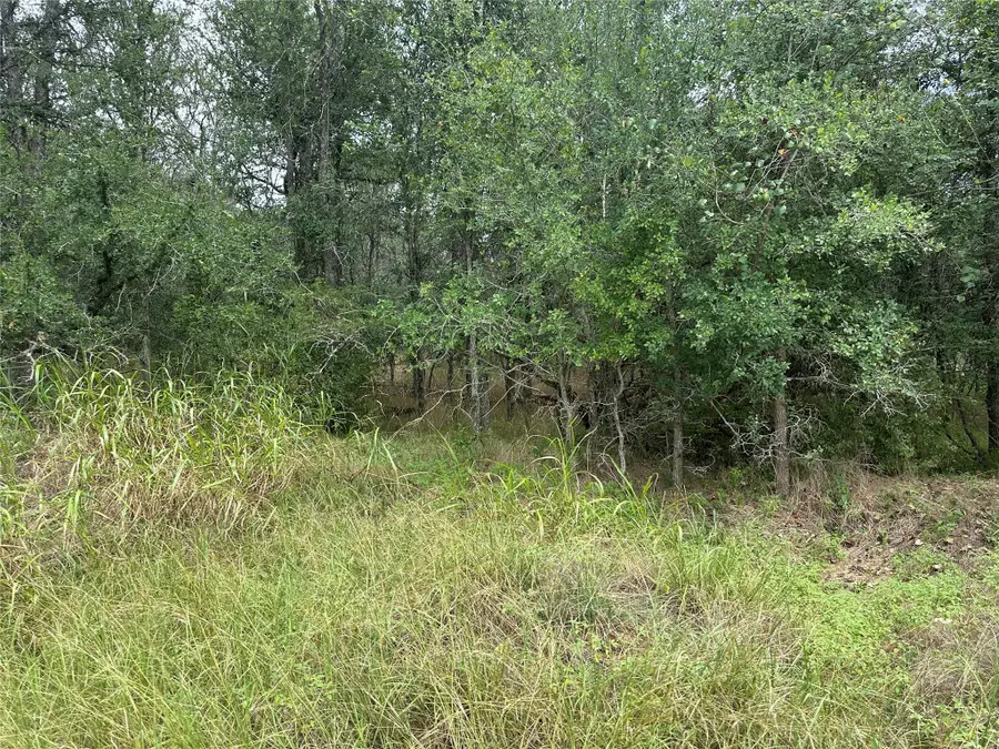 109 Halawa Ct, Bastrop, TX 78602 - #2