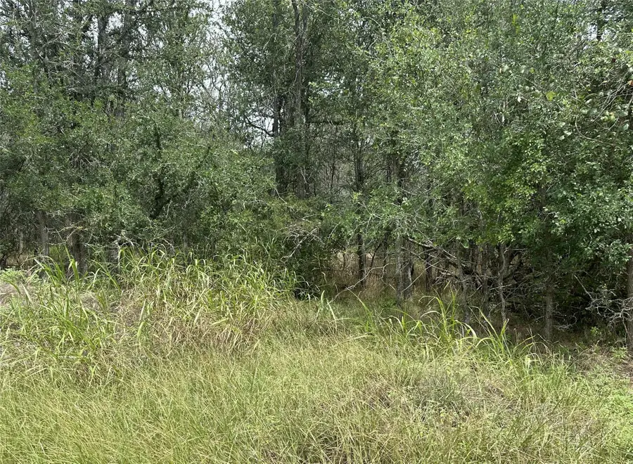 109 Halawa Ct, Bastrop, TX 78602 - #3