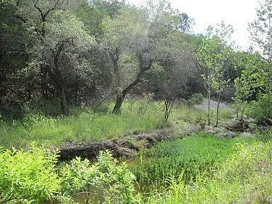 350 Bluff Rd, Spicewood, TX 78669
