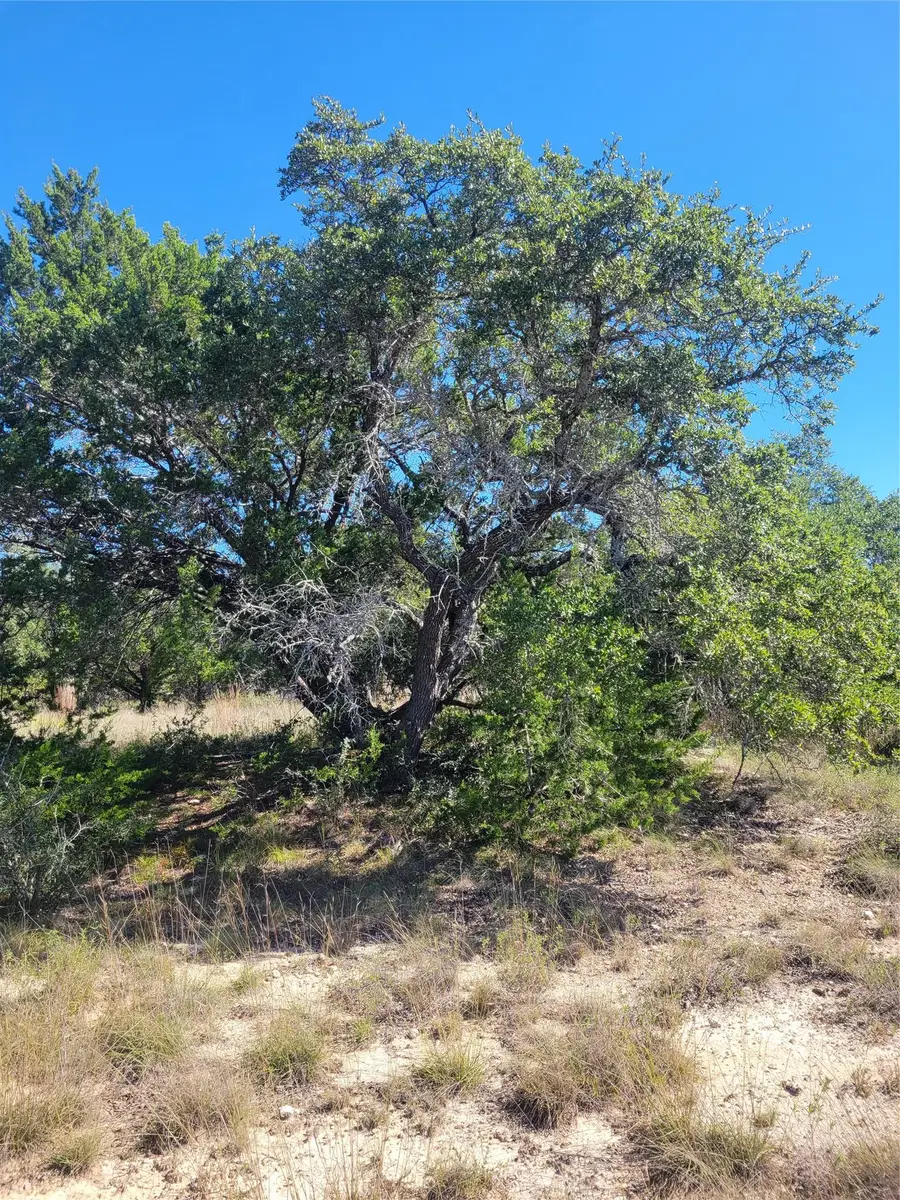648 Bonita Dr, Blanco, TX 78606 - #2