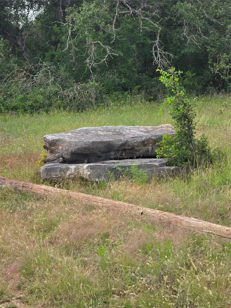 2301 Cr 307, Jarrell, TX 76537 - #3