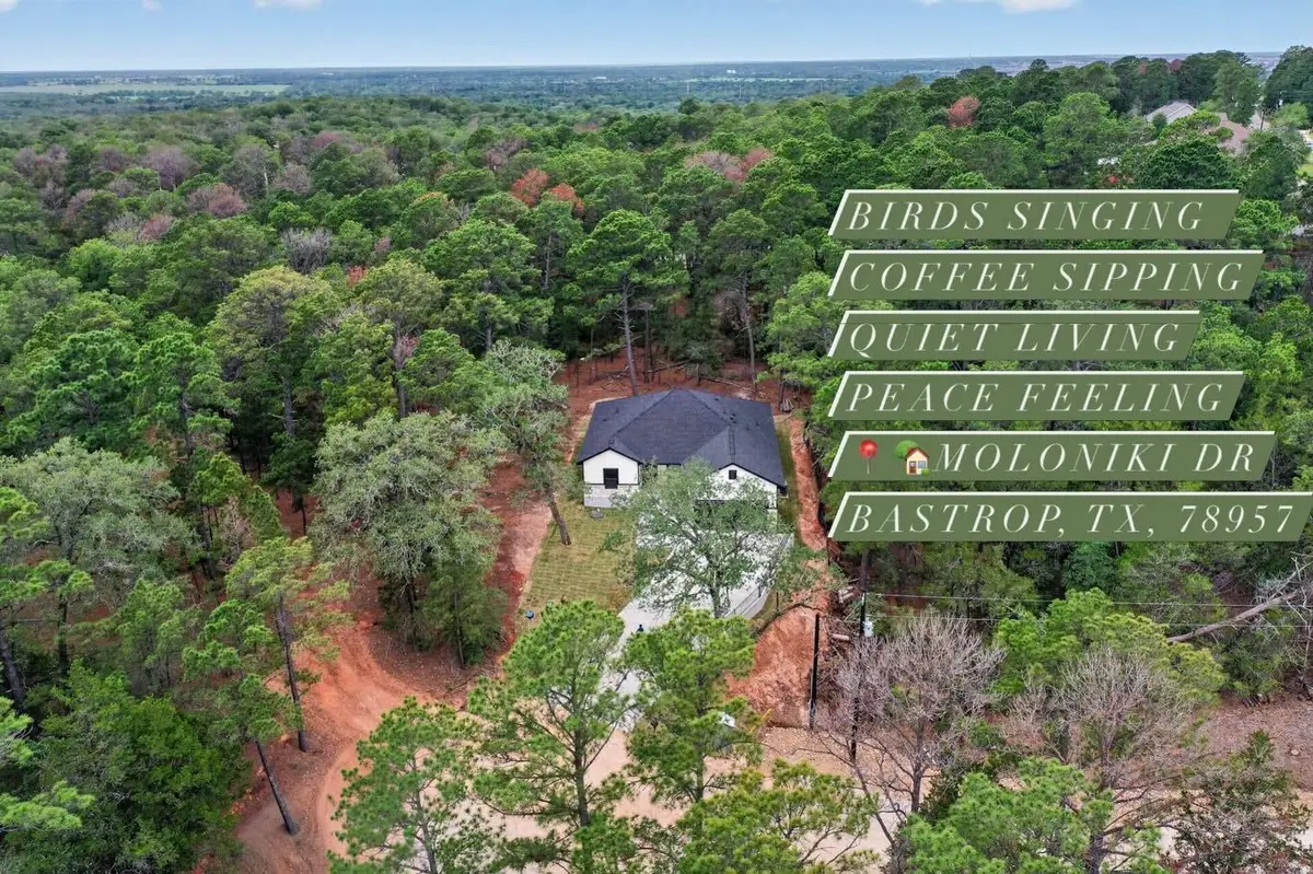 190 Molokini Dr, Bastrop, TX 78602 - #1