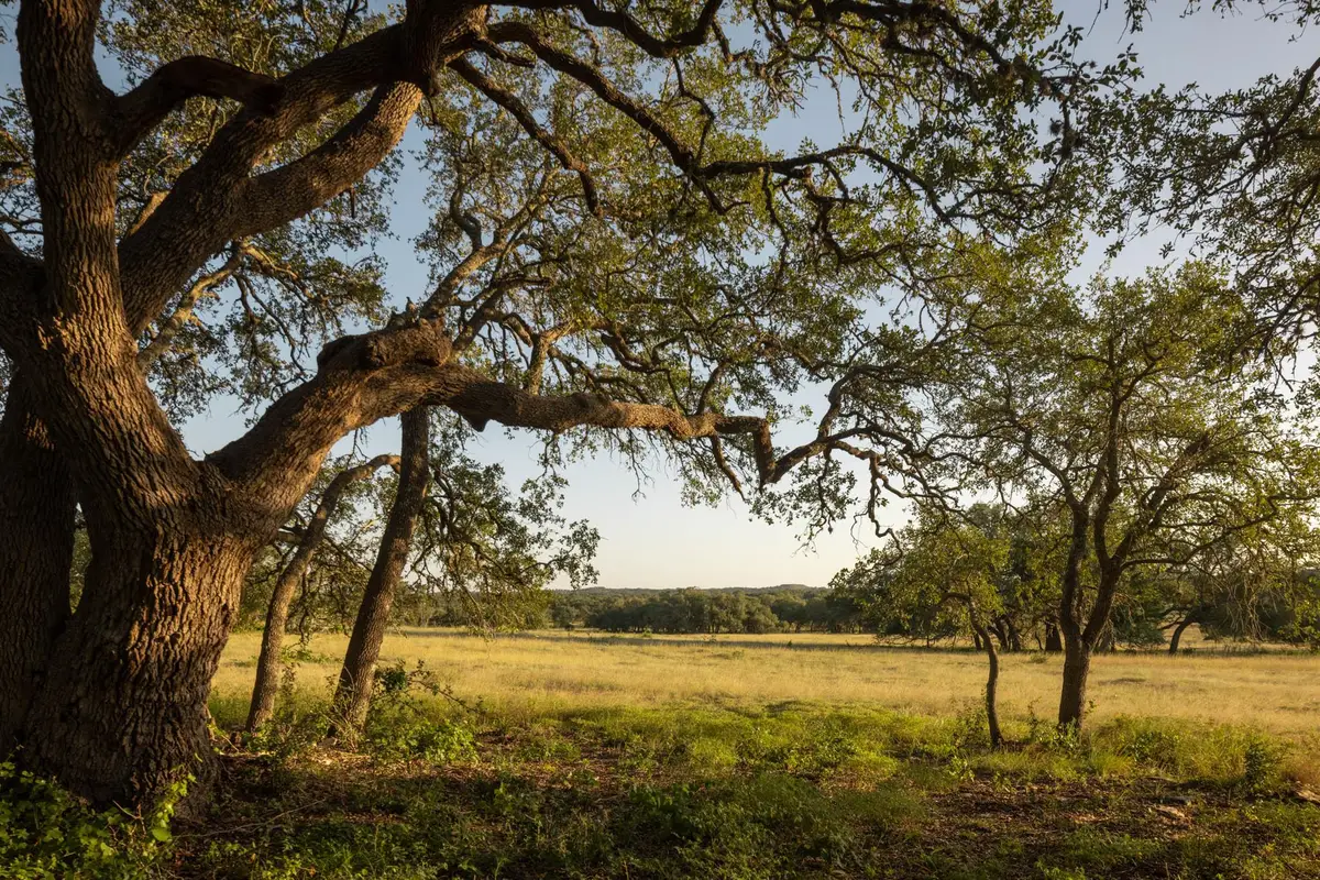 2427 Prochnow Rd, Dripping Springs, TX 78620 - #1