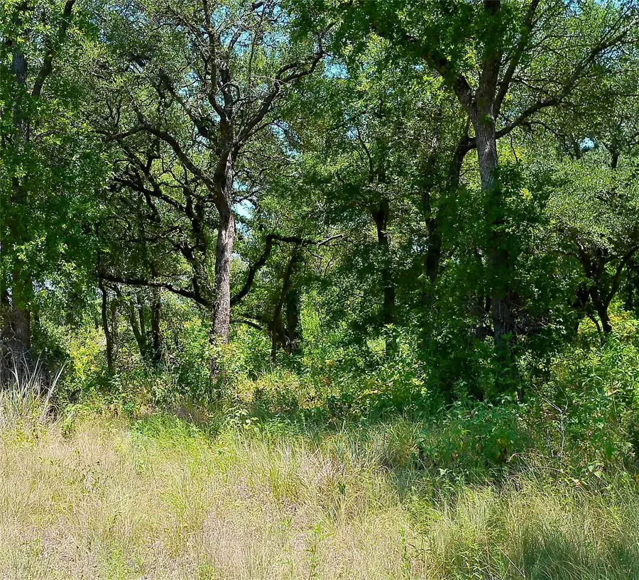 216 Serenity Dr, Liberty Hill, TX 78642 - #2