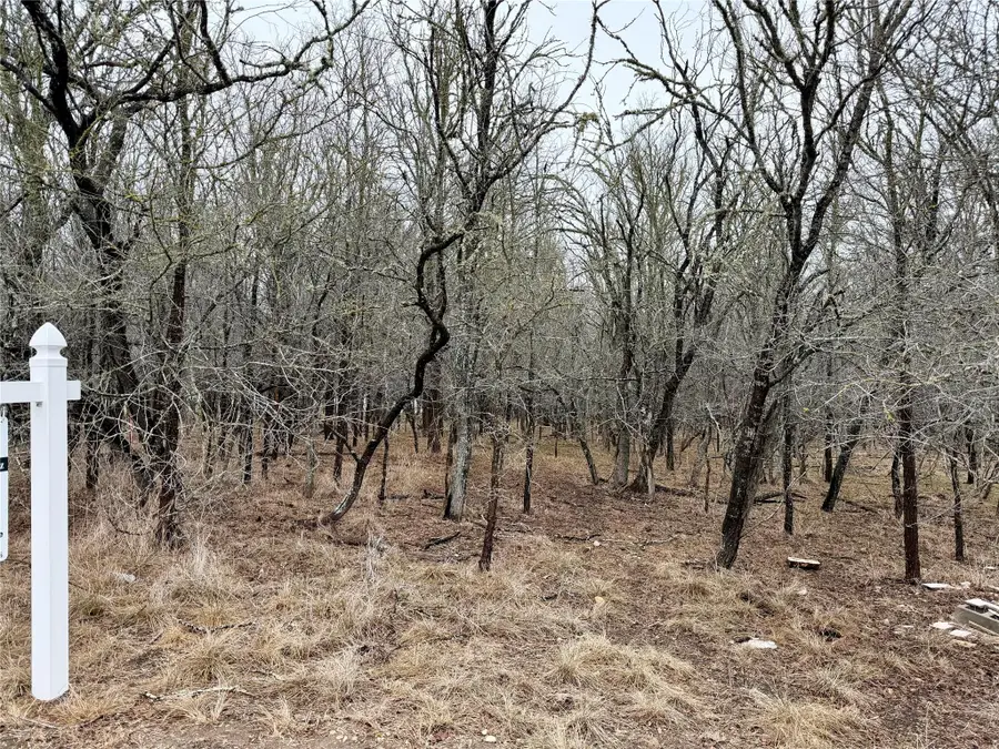 140 W Pauwela Ln, Bastrop, TX 78602 - #2