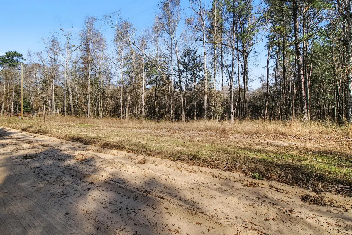 Tract 69 Northcrest Dr, Livingston, TX 77351 - #1