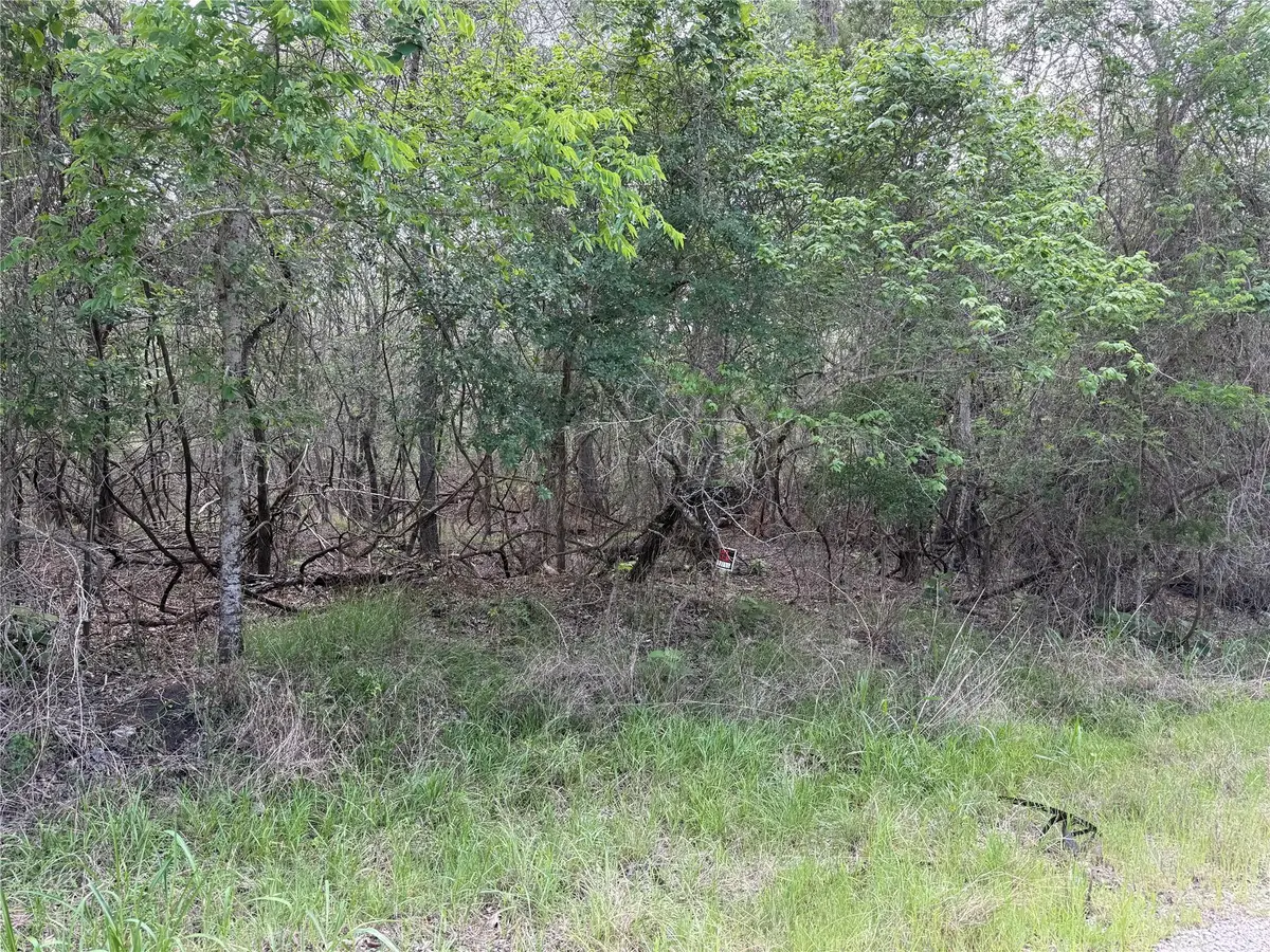 305 Nene Ln, Bastrop, TX 78602 - #1