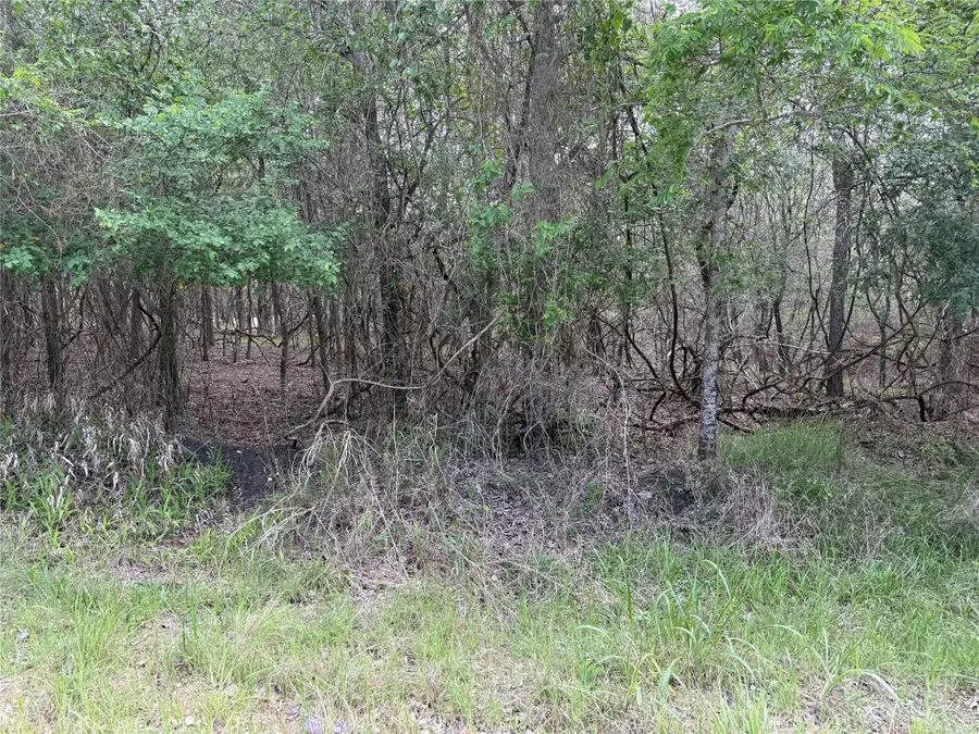 305 Nene Ln, Bastrop, TX 78602 - #2