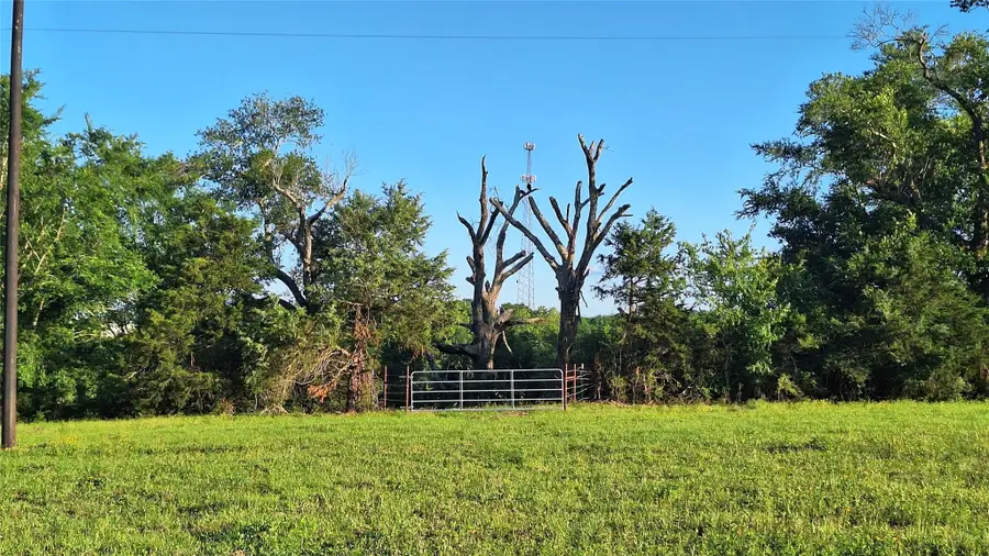 18155 Wellmann Rd, Washington, TX 77880 - #2