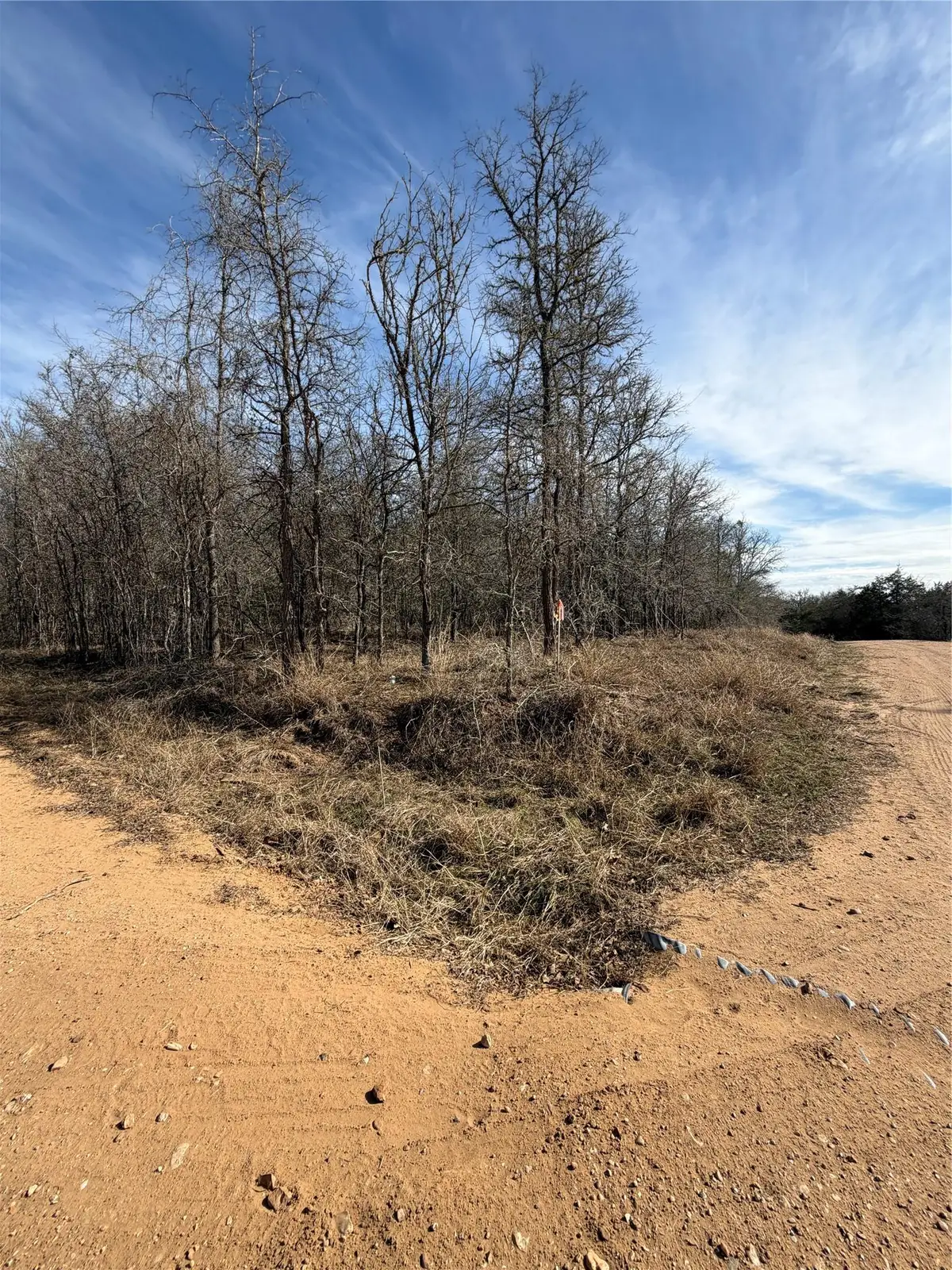 Lots 1006 and 1007 Diamond Head Dr, Bastrop, TX 78602 - #1