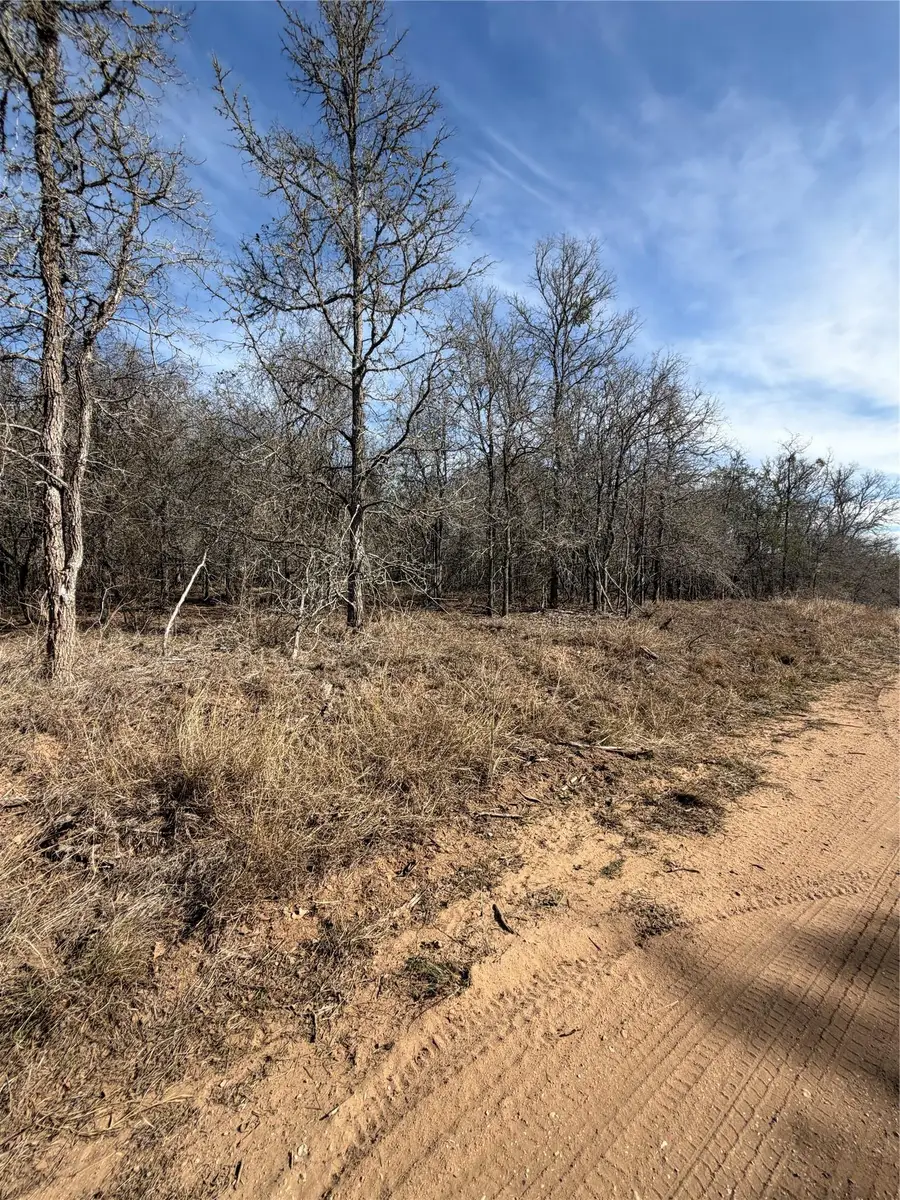 Lots 1006 and 1007 Diamond Head Dr, Bastrop, TX 78602 - #3