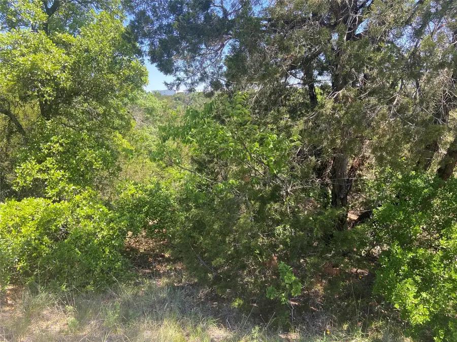 8617 Bar-k Ranch Rd, Lago Vista, TX 78645 - #2