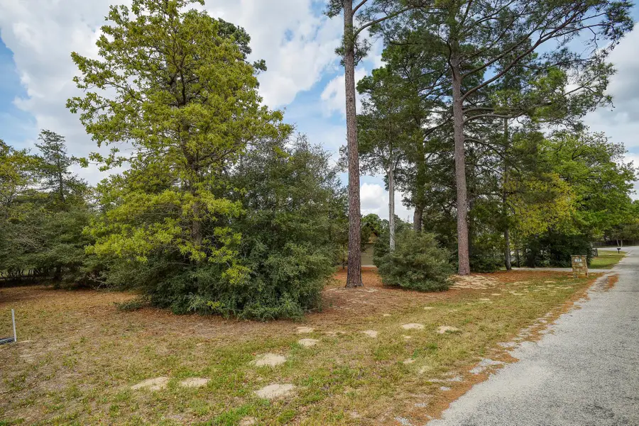 178 S Buckhorn Dr, Bastrop, TX 78602 - #3