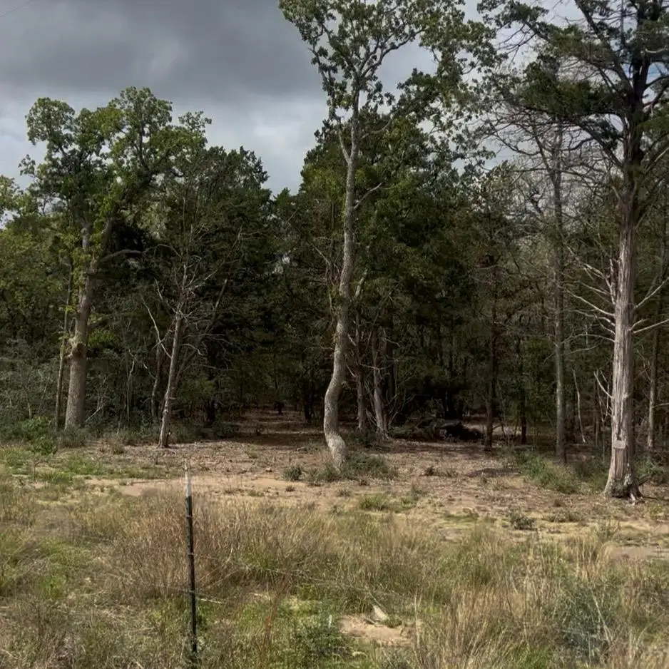 Lot 15 Antioch Rd, Paige, TX 78659 - #1
