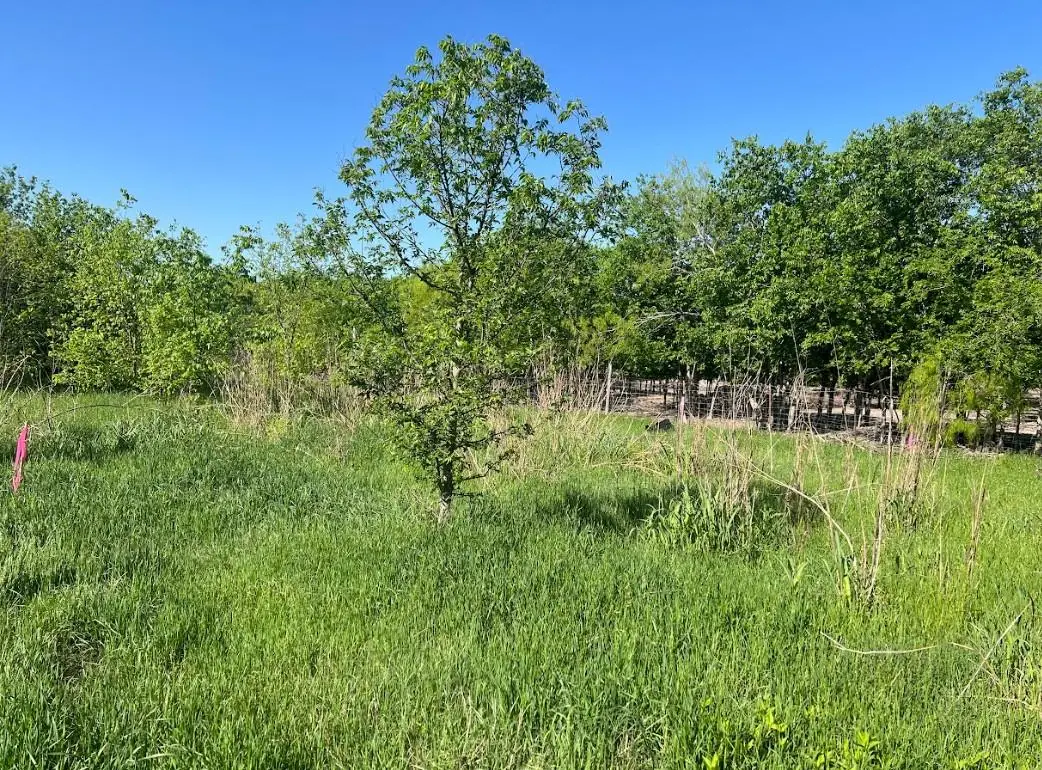 W Brook St(Lot #2, Bk 72) W Brook St, Bartlett, TX 76511 - Image #1