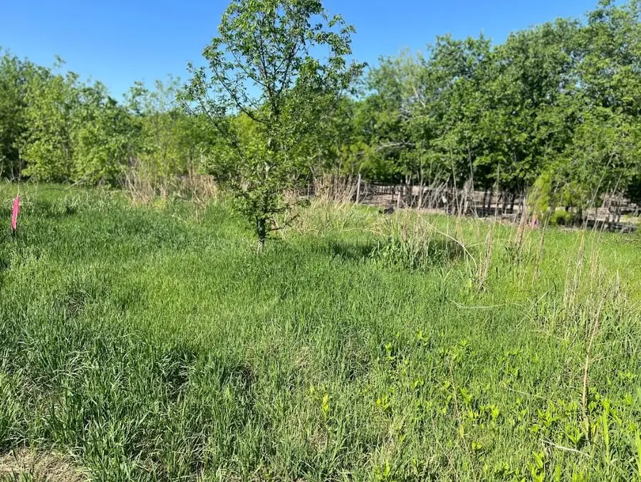 W Brook St(Lot #2, Bk 72) W Brook St, Bartlett, TX 76511 - Image #2