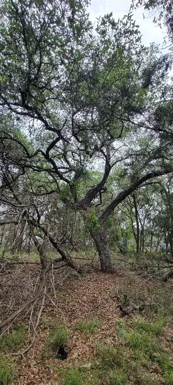 1391 Covered Wagon, Spring Branch, TX 78070 - #3