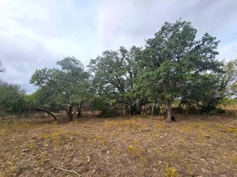 415 Black Watch Ln, Lockhart, TX 78644 - #1