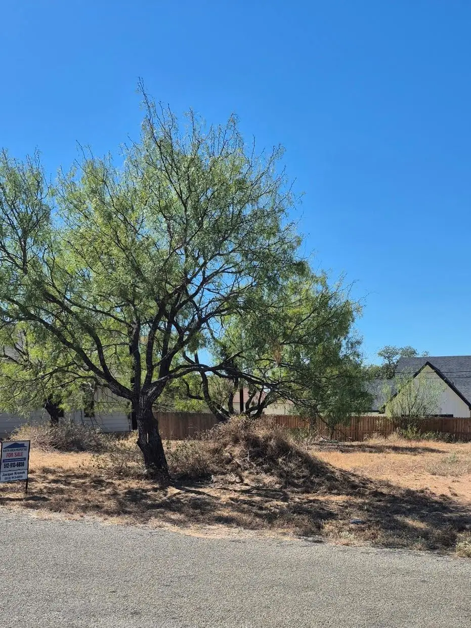 836 Aspen Ln, Cottonwood Shores, TX 78657 - Image #1