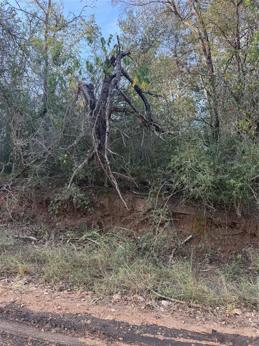 Lot 608 Waimanalo Dr, Bastrop, TX 78602 - #2