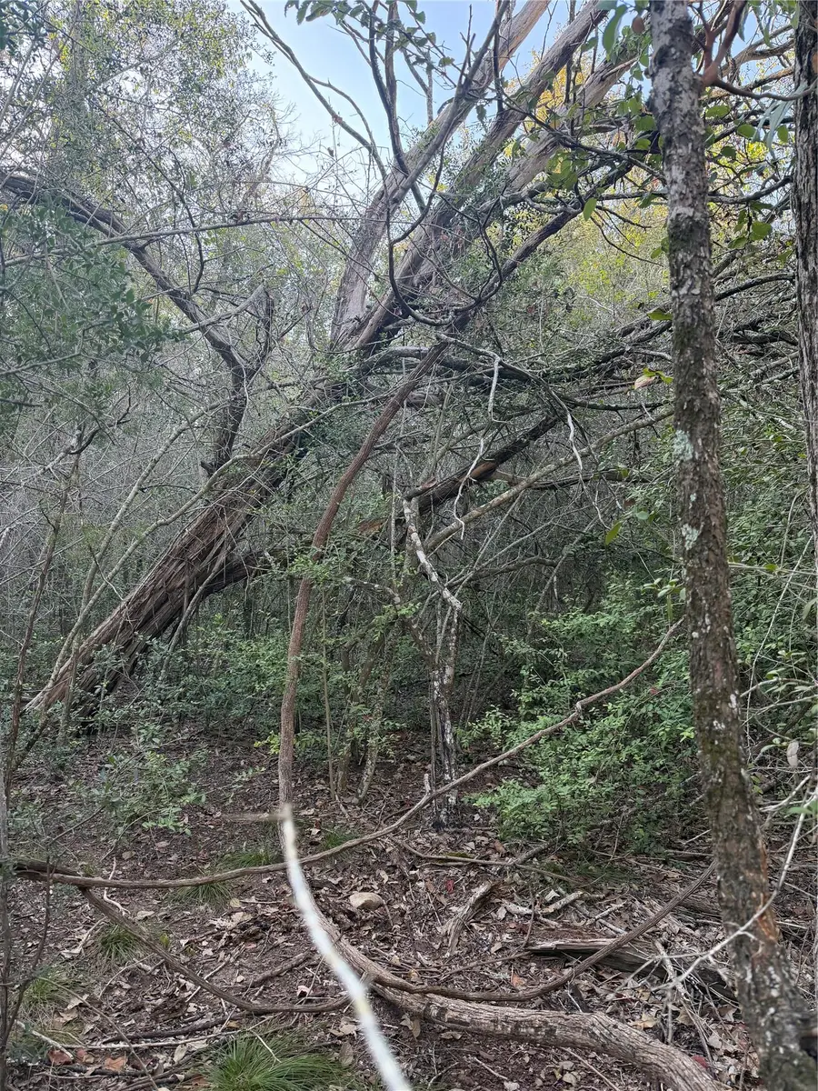 Lot 608 Waimanalo Dr, Bastrop, TX 78602 - #3