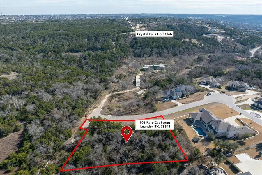 905 Rare Cat St, Leander, TX 78641 - Image #3