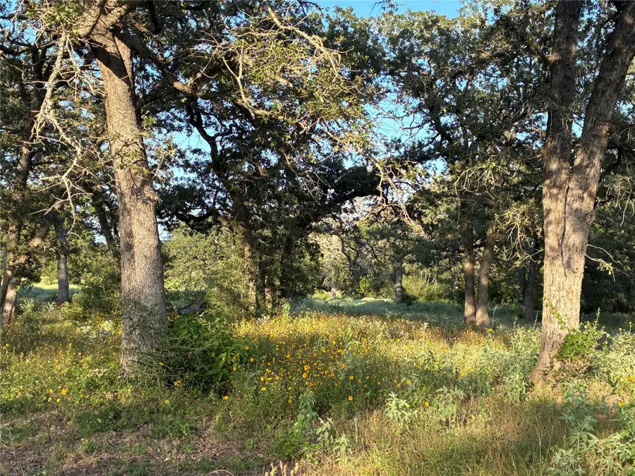 2933 County Road 457, Thorndale, TX 76577 - #3