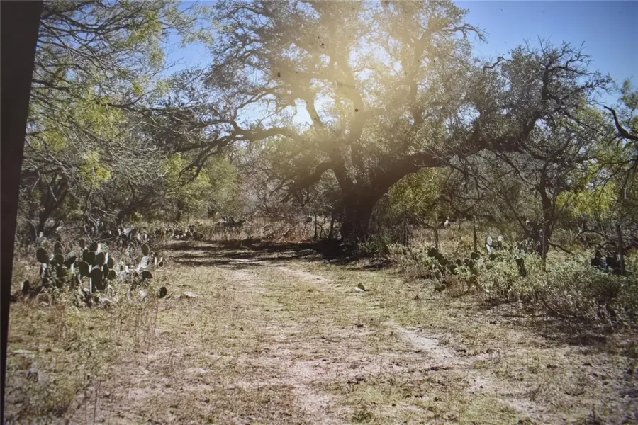 5030 Fm 2504, Poteet, TX 78065 - #2