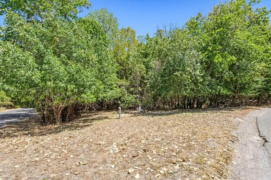 717 Willow Creek Rd, Salado, TX 76571 - #3