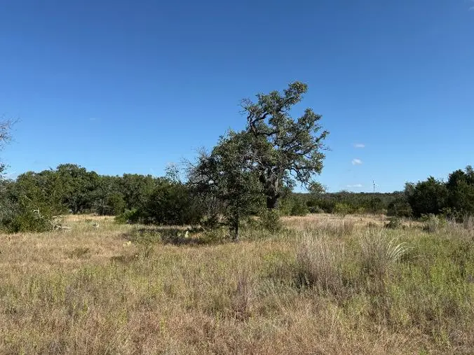 296 E Rolling Oaks Drive, Goldthwaite, TX 76844 - #3